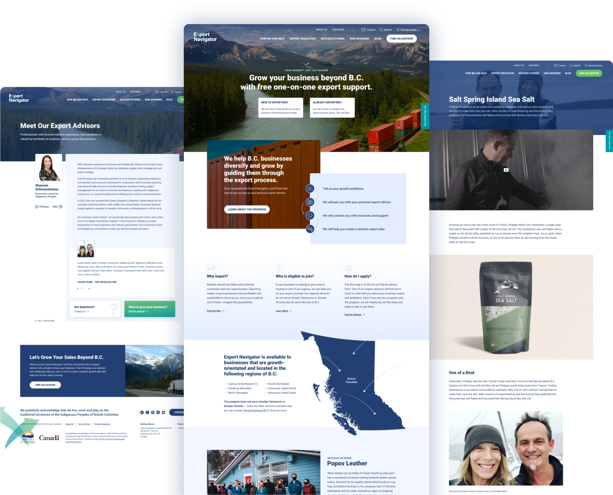 3 page mockups for the newly redesigned site